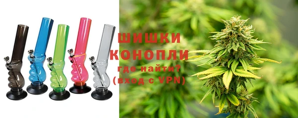 индика Нефтегорск