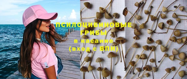 mix Надым