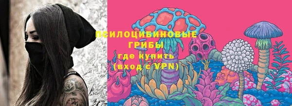 индика Нефтегорск