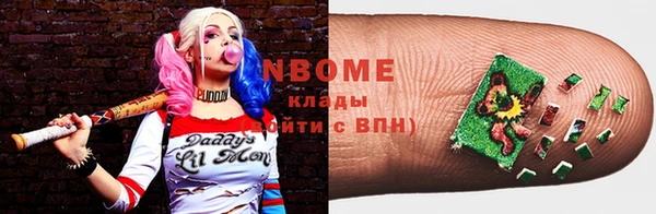 индика Нефтегорск