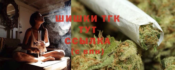 индика Нефтегорск