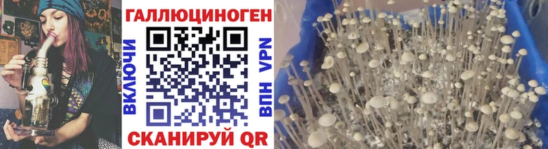 цена наркотик  Рассказово  Псилоцибиновые грибы прущие грибы 
