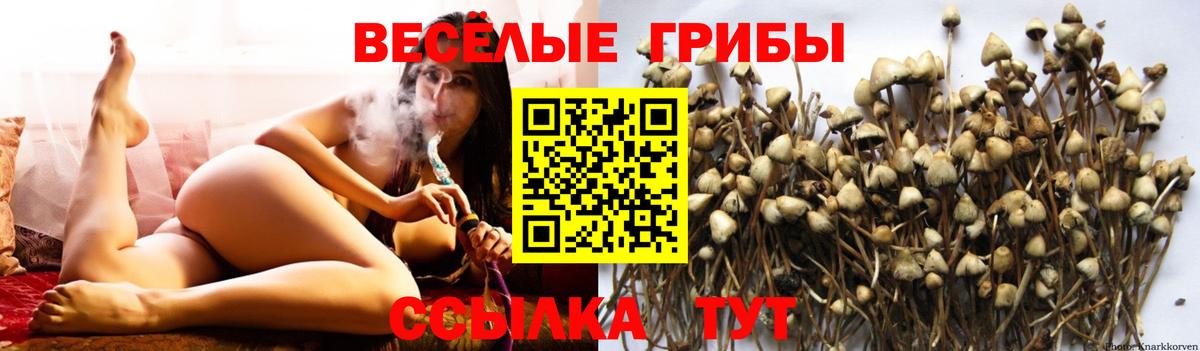 Галлюциногенные грибы GOLDEN TEACHER  Вход с VPN  Рассказово  Галлюциногенные грибы мицелий 